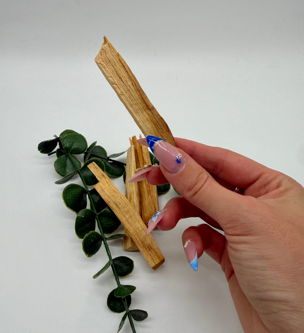 Palo Santo