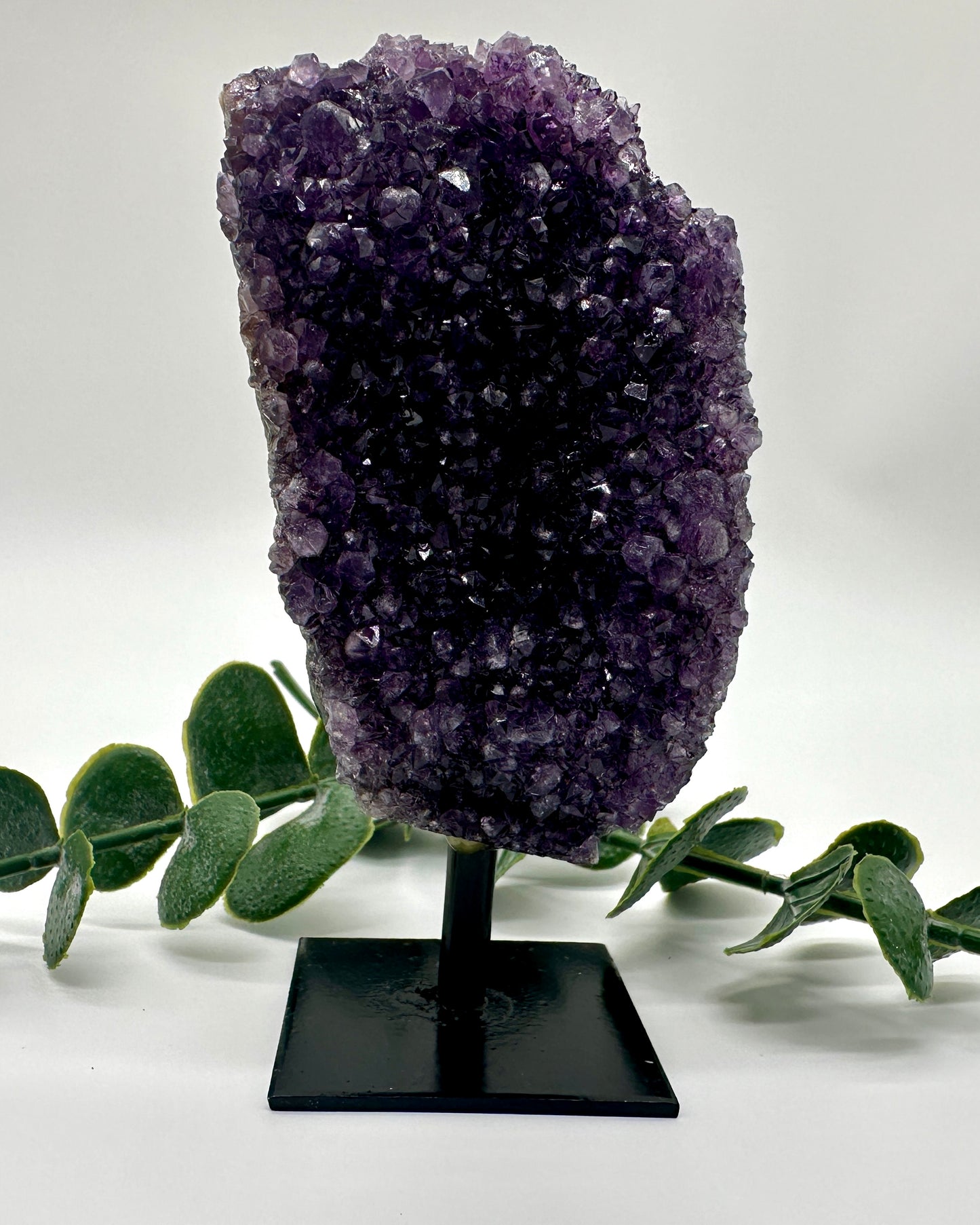 Amethyst Drusen auf Ständer