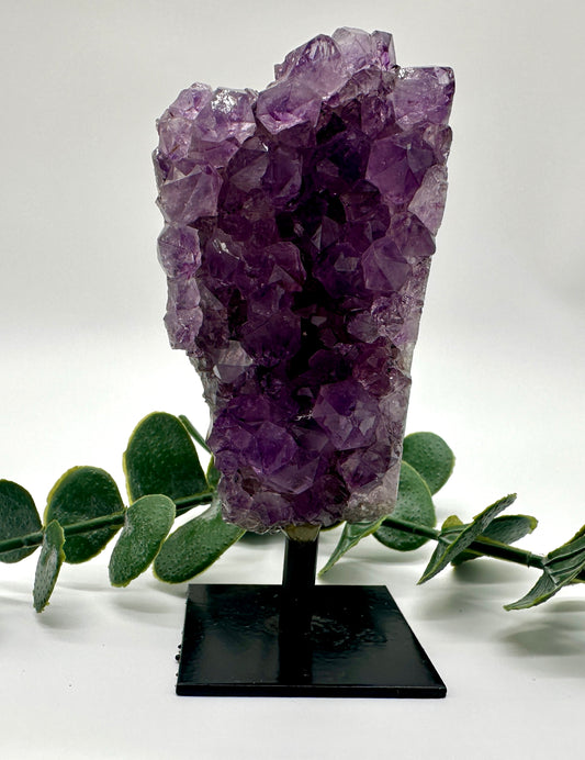 Amethyst Drusen auf Ständer