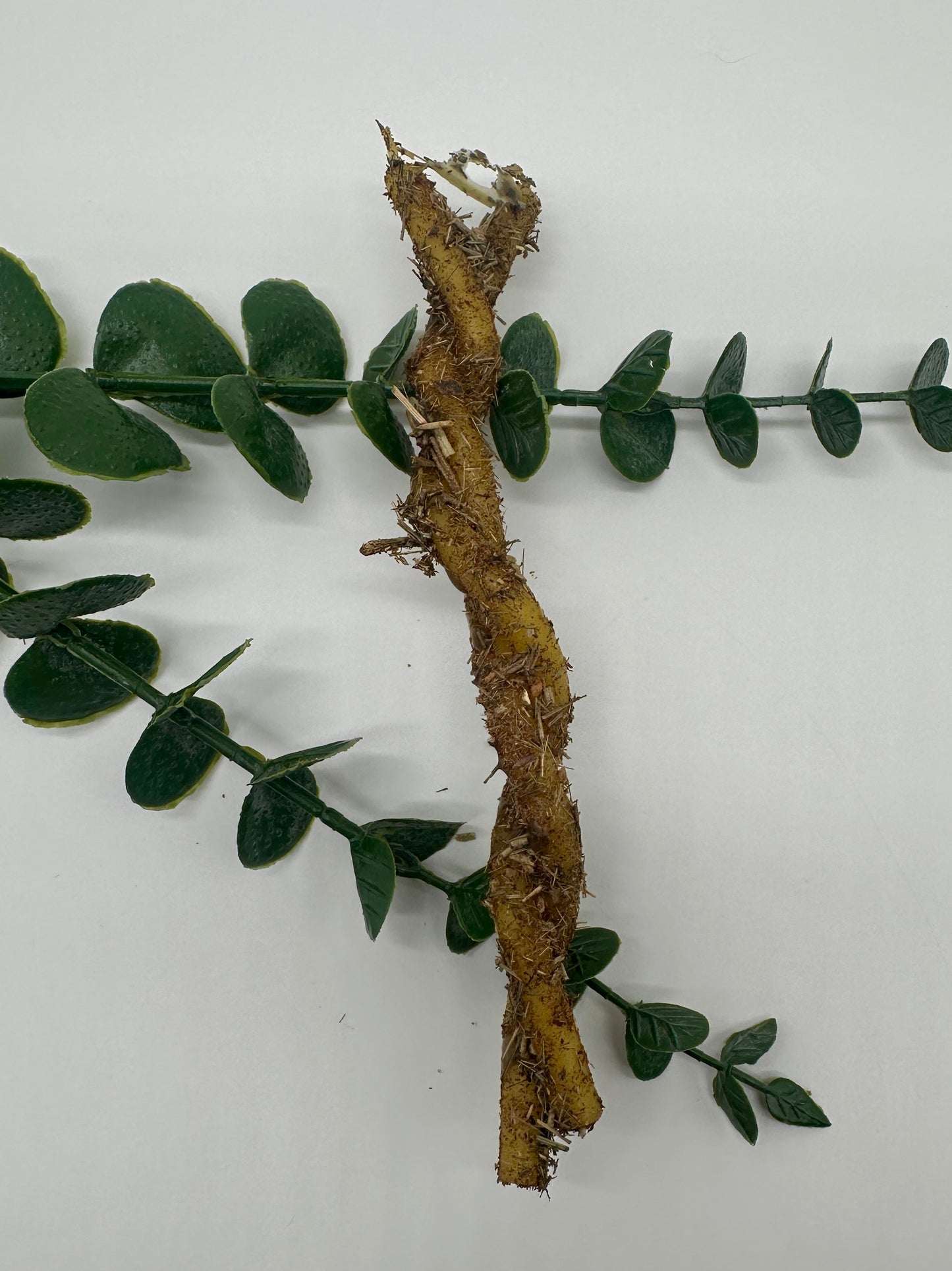 Speedkerze Solarplexuschakra